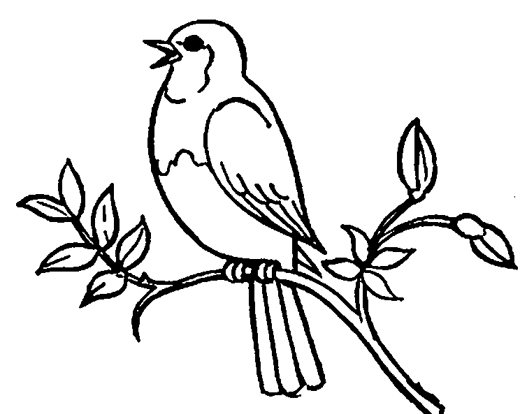 Black and white bird clip art - ClipartFox