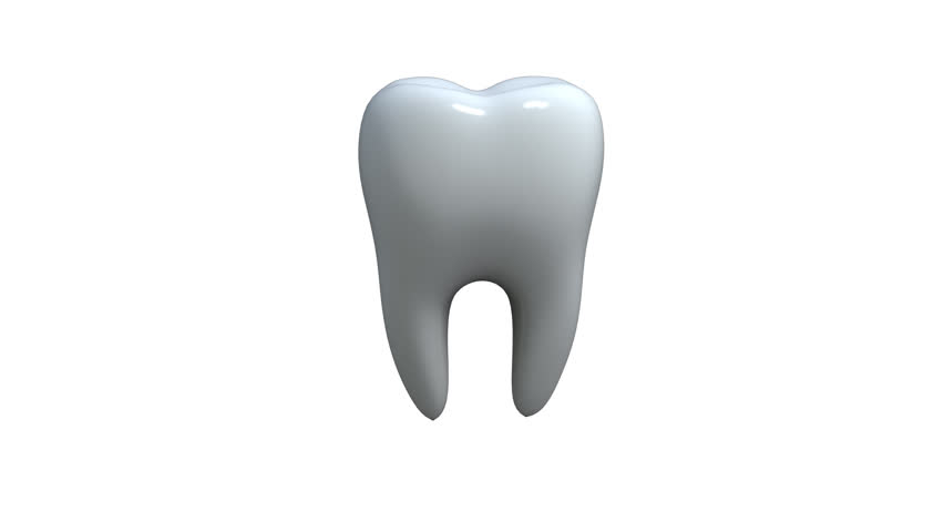 Tooth Cycle Animation Stock Footage Video 835150 - Shutterstock