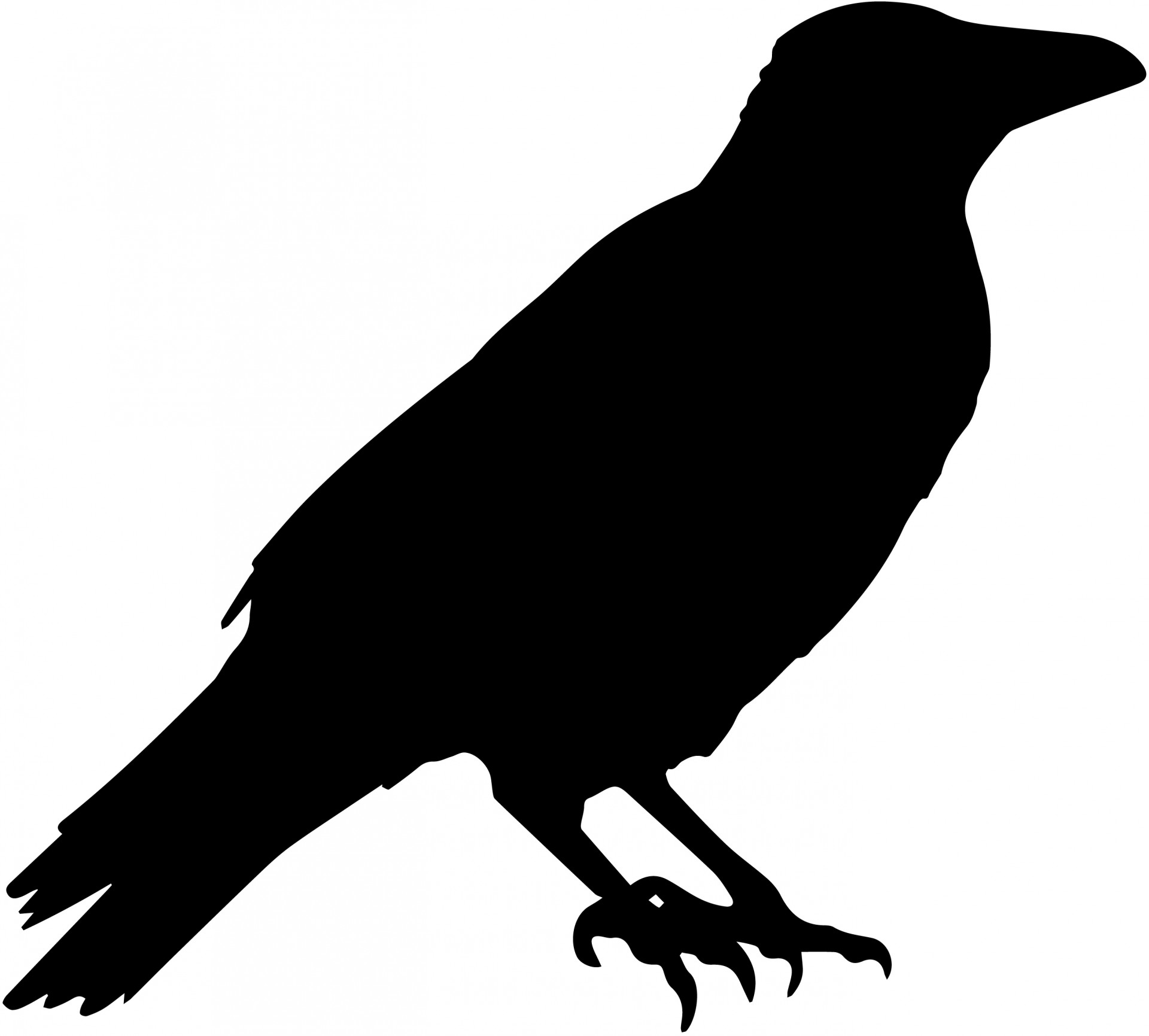 Crow Vector Silhouette Free Stock Photo - Public Domain Pictures