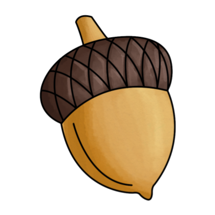 1000+ images about acorn