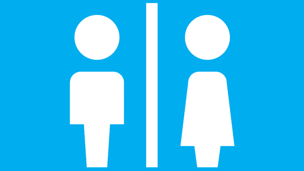 A new symbol for the toilet - BBC News