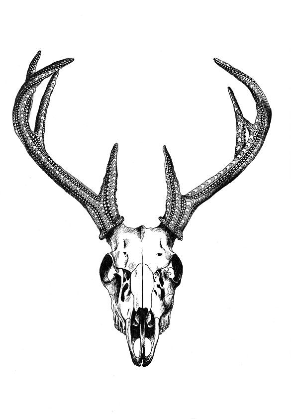 Deer Skull Tattoos | Skull Tattoos ...