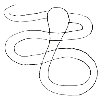 How to Draw a Snake - Draw Step by Step