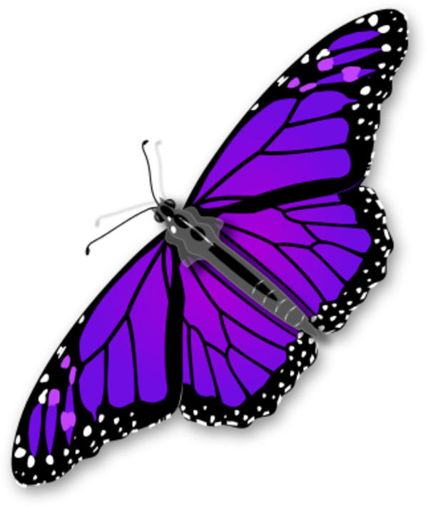 Monarch Butterfly - vector Clip Art