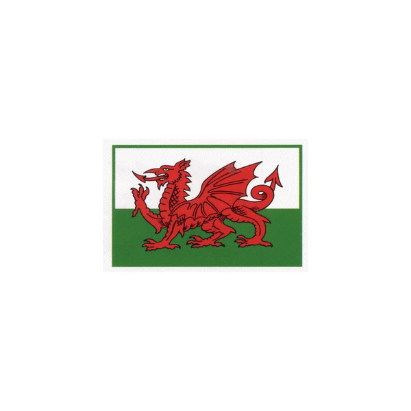 WM11 - Welsh Dragon - Fridge Magnets - 5 Magents - Eurostick ...