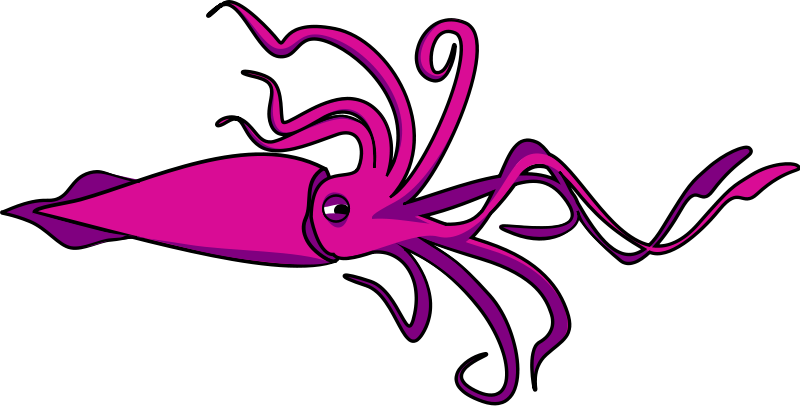 Free Squid Clip Art