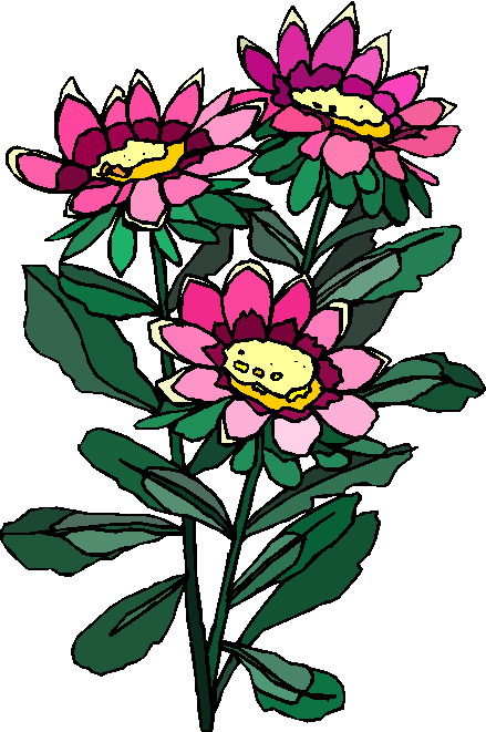Good Clipart: Plant Clipart Gallery3