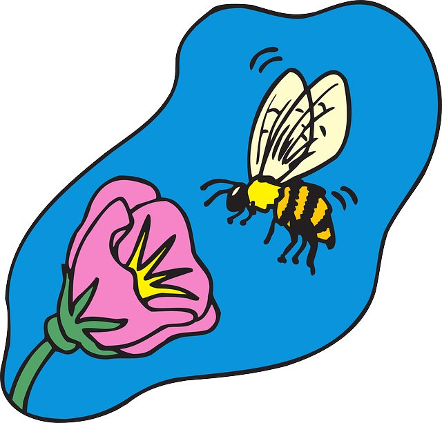 FLOWER, CARTOON, BEE, FLYING, PLANT, INSECT, WITH - Public Domain ...