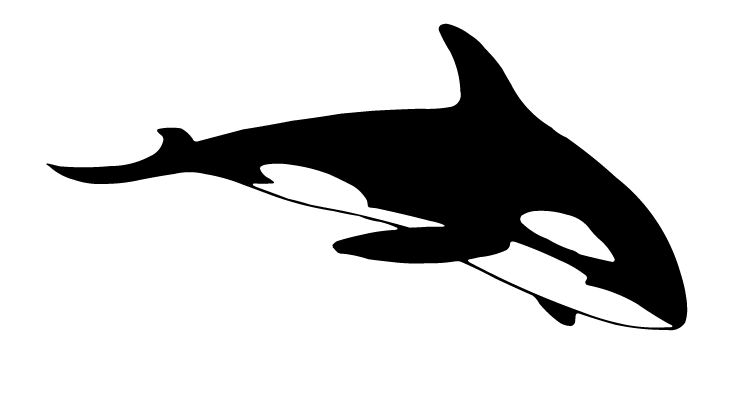 Cartoon Killer Whale | Free Download Clip Art | Free Clip Art | on ...