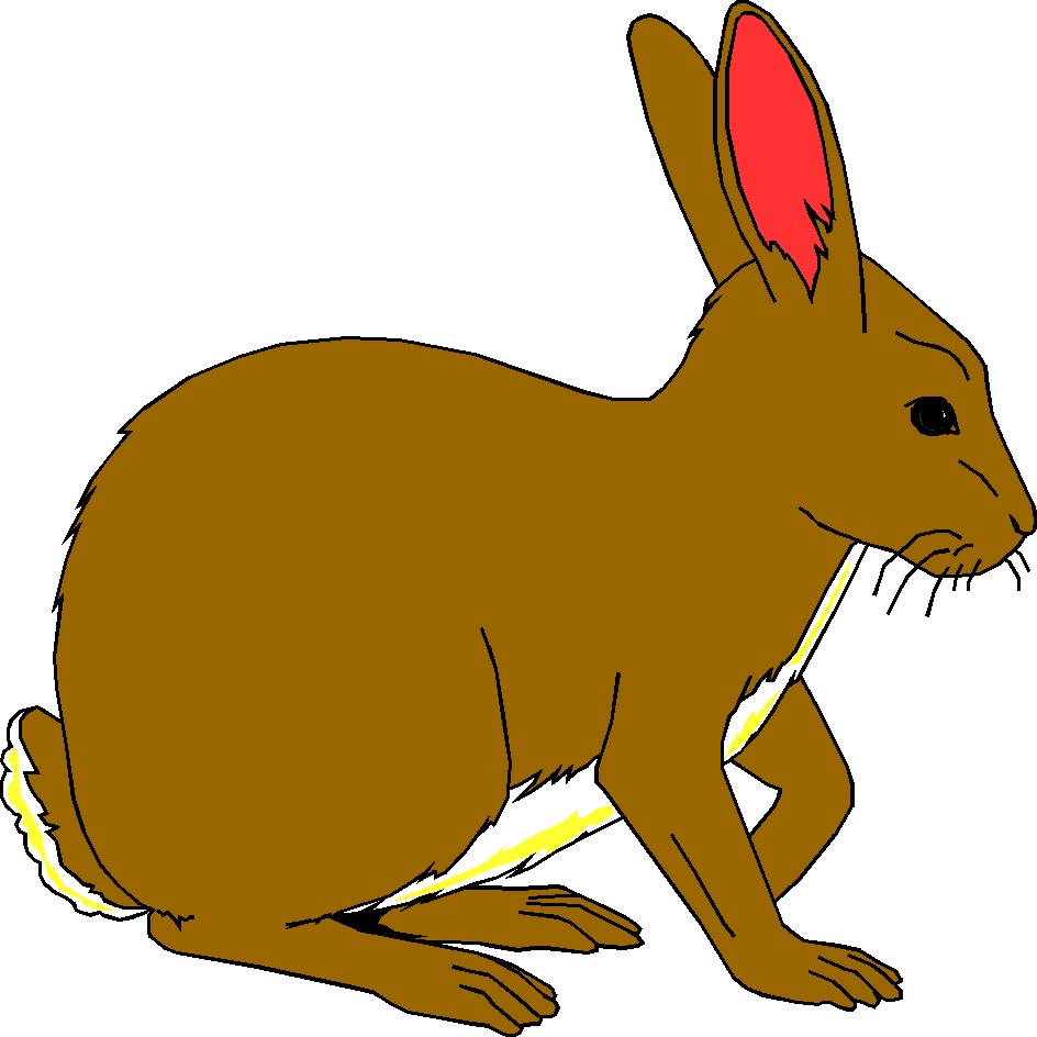 Clipart Rabbit - Tumundografico