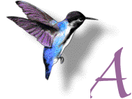 hummingbird-a-letter.gif