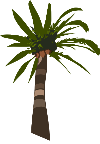 Palm Tree Vector clip art - vector clip art online, royalty free ...