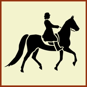 Animal-Horse-Saddlebred Horse with Rider