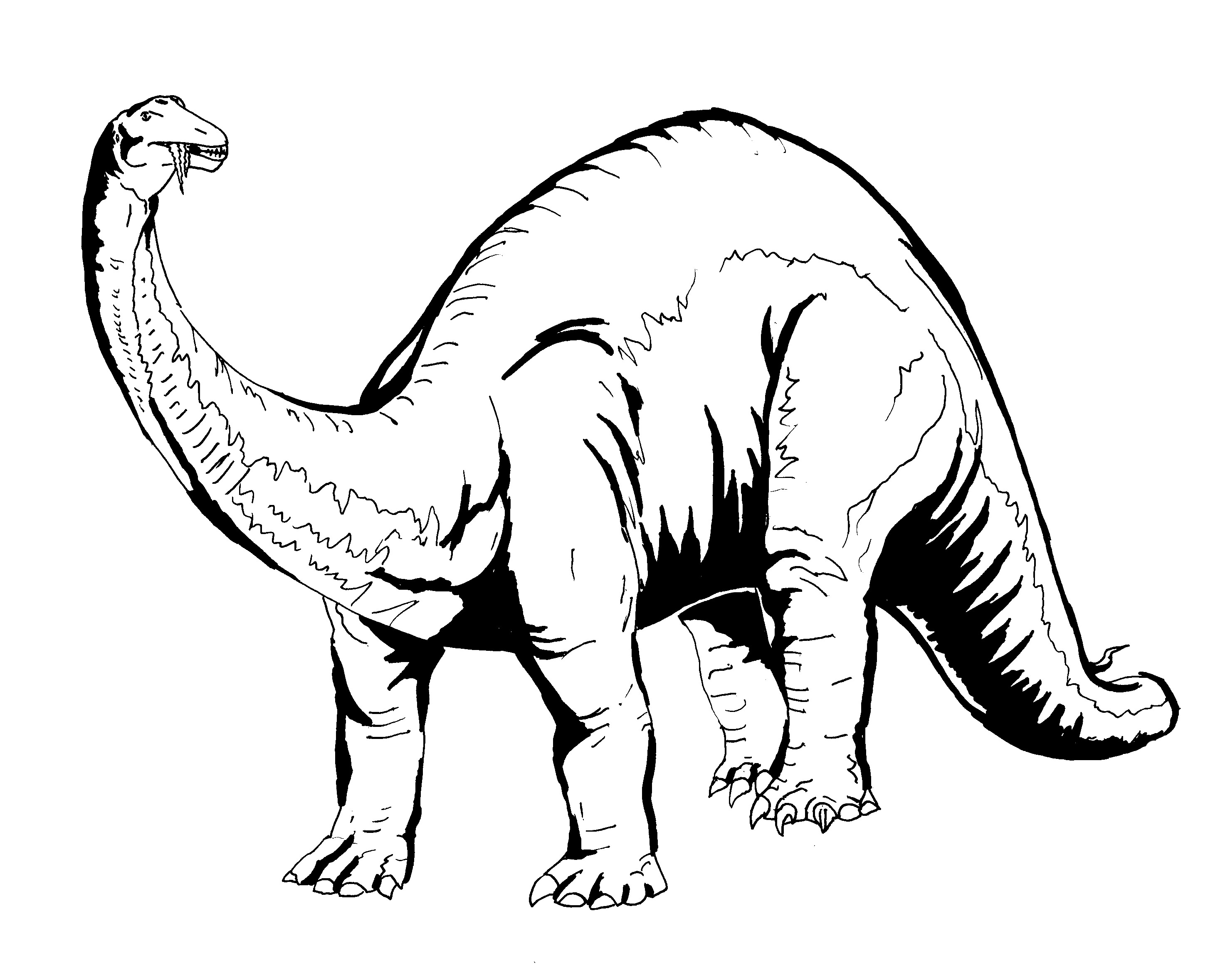 Dinosaur Stegosaurus Outline - ClipArt Best