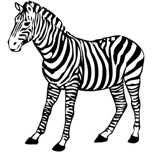 Zebra clip art - vector clip art online, royalty free & publ ...