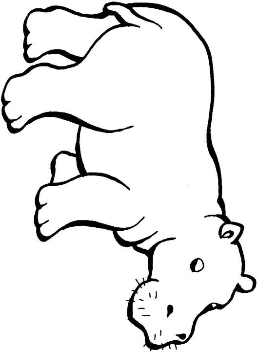 cartoon hippo coloring pages - photo #24