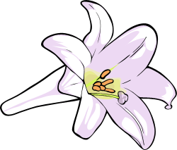 Easter Lilies Clip Art - ClipArt Best