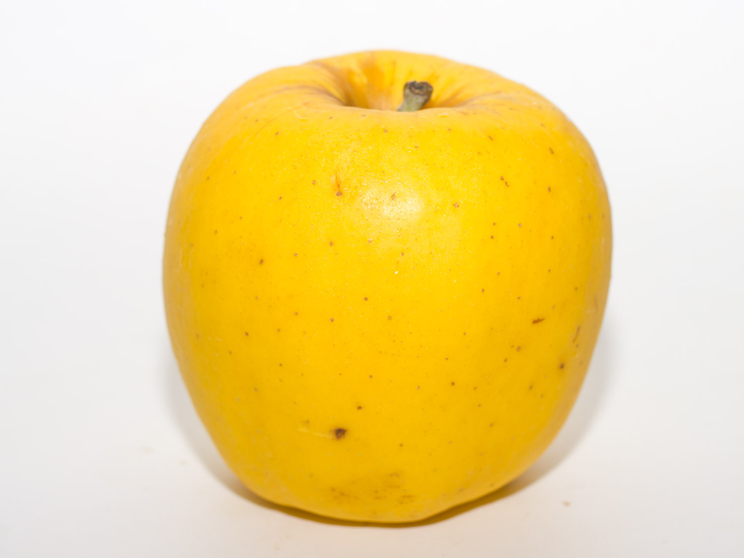 Have You Ever Tried an Opal Apple? | Serious Eats