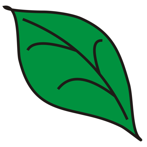 Green Leaf Clipart - Tumundografico