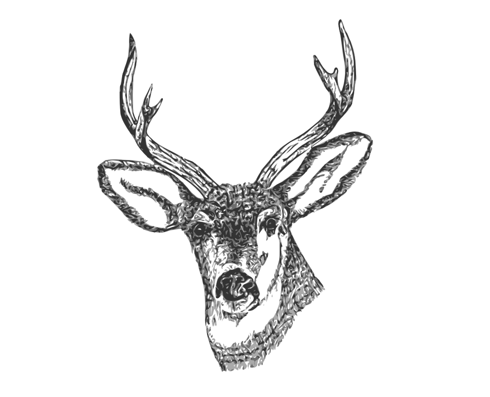 Images For > Deer Head Clipart Black And White