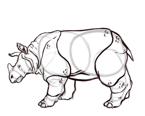 How to Draw a Rhino: 6 Steps (with Pictures) - wikiHow