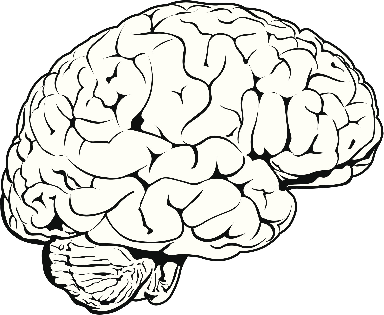 Brain Line Drawing