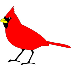 Cardinal Bird clip art - Polyvore