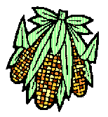Corn Maze Clip Art - ClipArt Best