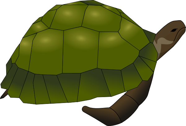 Turtle clip art Free Vector