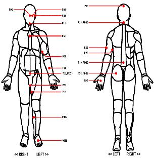 Human Body Diagram Outline Page 2 Human Body Diagram Outline Page 3