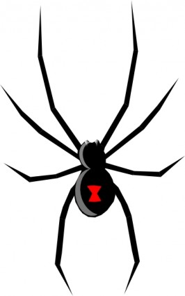 Black Widow clip art Free vector in Open office drawing svg ( .svg ...