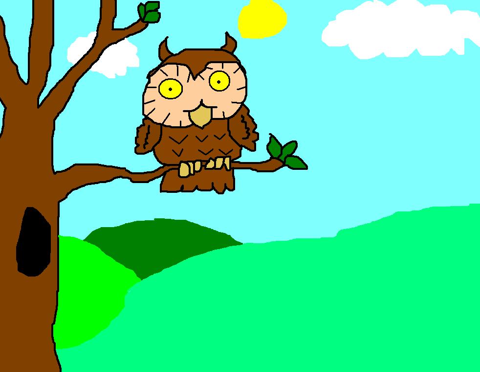Cartoon Owl Drawing - owllover © 2013 - Apr 23, 2011
