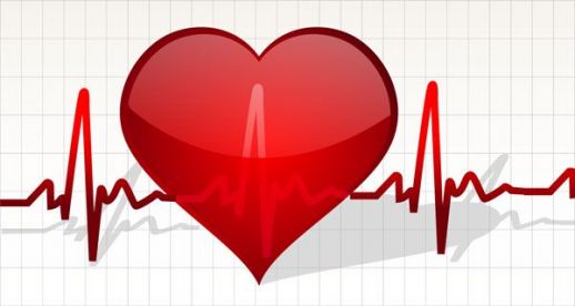 Heart With Life Line Vector - AI - Free Graphics download