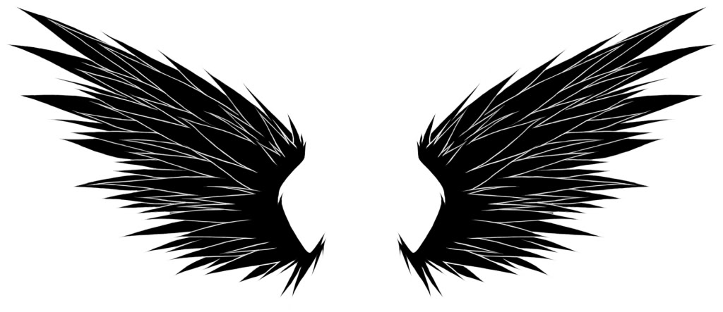 Black wings photo wing2copy.jpg