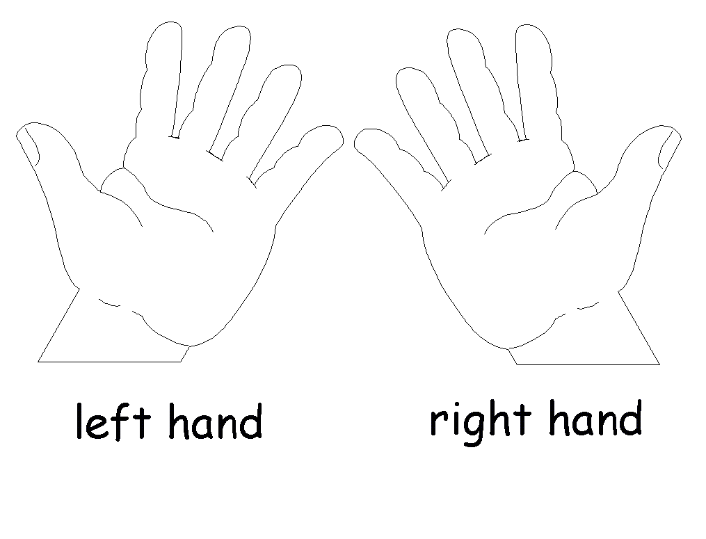 hands