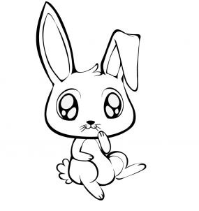 Cute Bunny Drawing Photo Album - Jefney