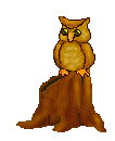Owl Clip Art - Free Owl Clip Art - Small Owls Sitting on Tree ...