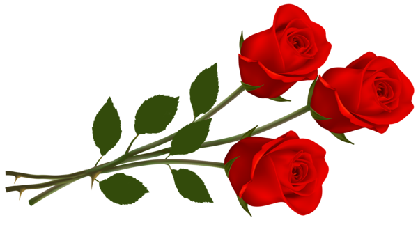 One red rose clipart