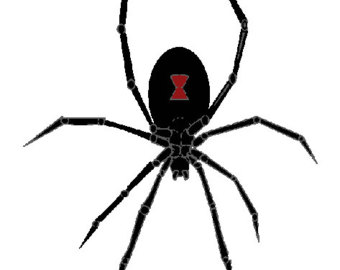black widow spider – Etsy