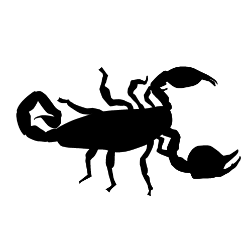 Scorpion clip art and google search on