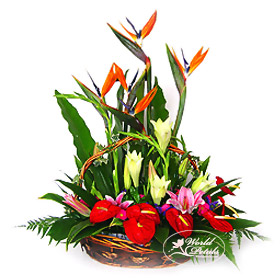 Basket Flowers to Malaysia