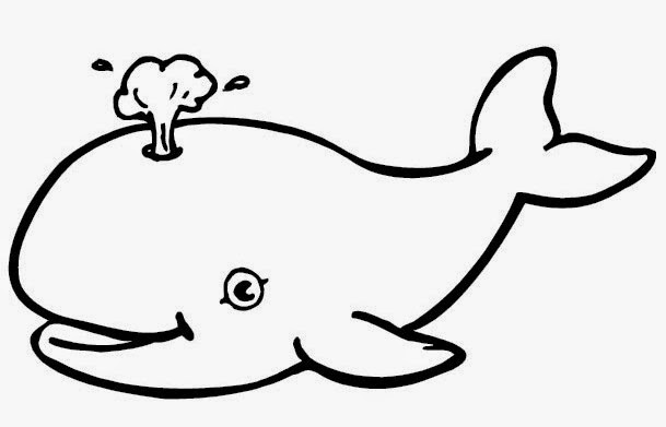 Gambar Binatang Kartun Ikan Paus | bahasapedia.com