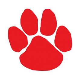 Red Paw Print Temporary Tattoo represents iconic animals