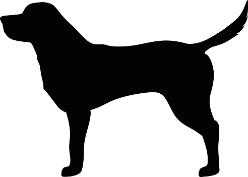 Labrador Retriever Clip Art, Vector Images & Illustrations