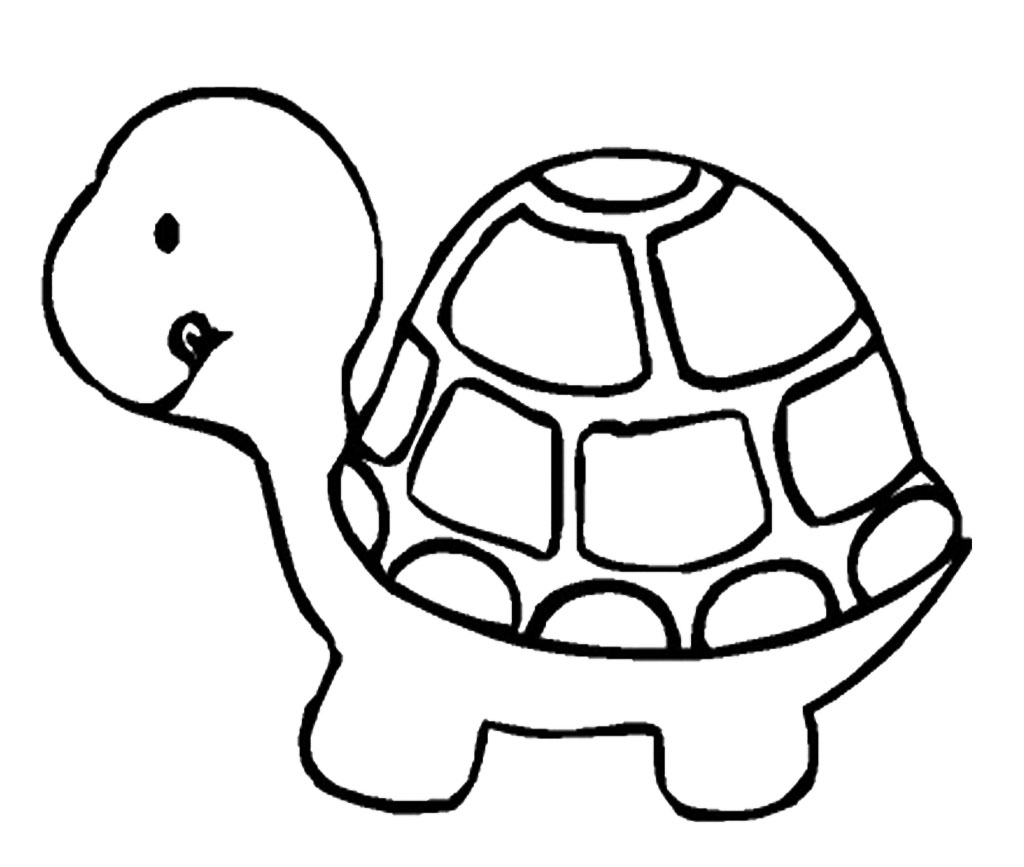 Turtle Coloring Pages New Calendar Template Site Spesific Turtle