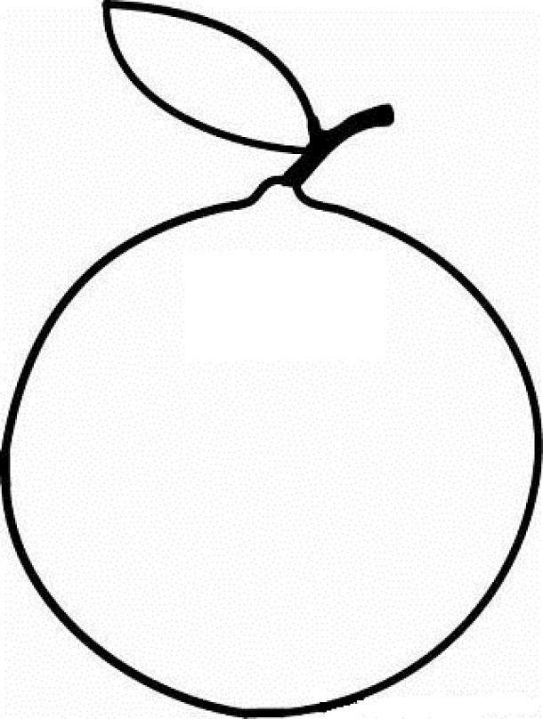 Orange Fruit Template ClipArt Best