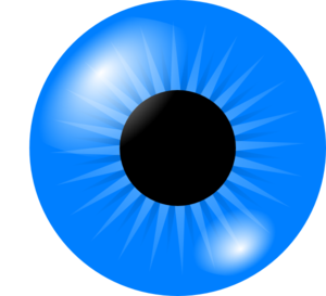 Eyeball eye clip art free clipart images - Clipartix