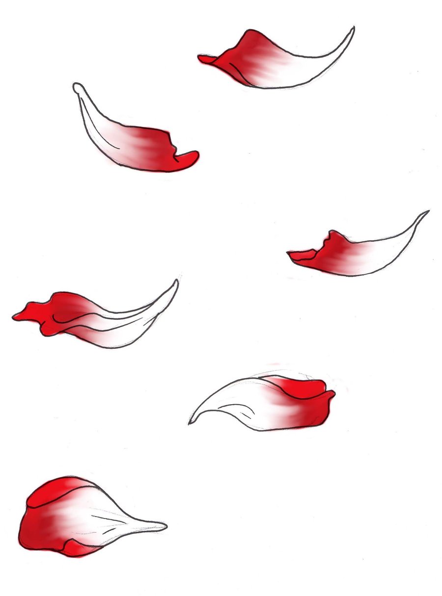 Best Photos of Rose Petals Drawing - Rose with Falling Petals ...