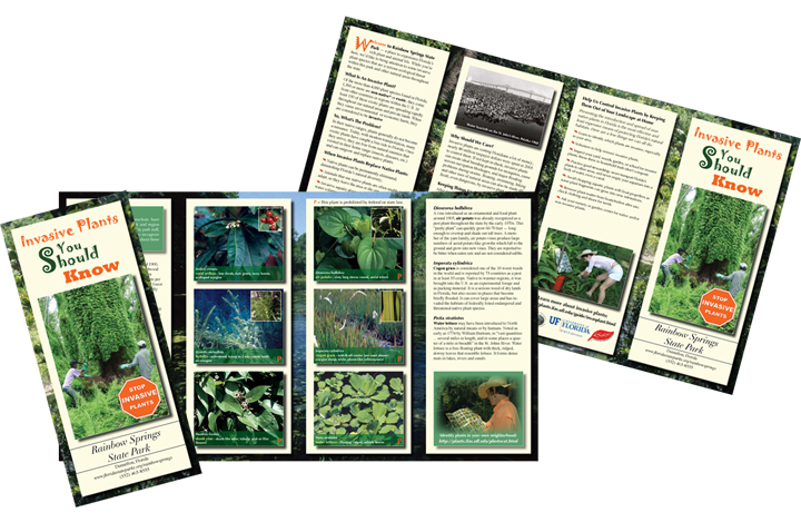 Best Photos of Examples Of Brochures Samples - Sample Brochures ...