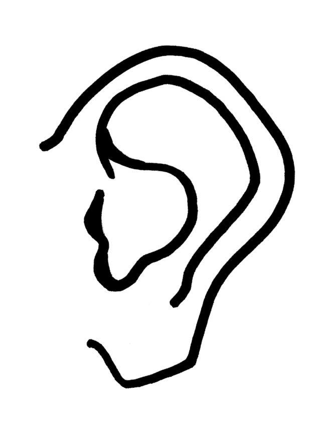 Pictures Of A Ear - ClipArt Best